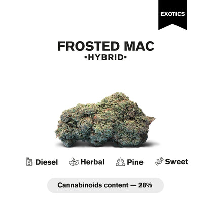 Frosted Mac Flower - Hybrid - THCA