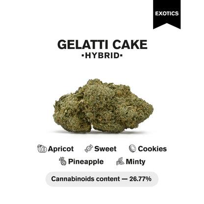 Gelatti Cake Flower – Hybrid – THCA
