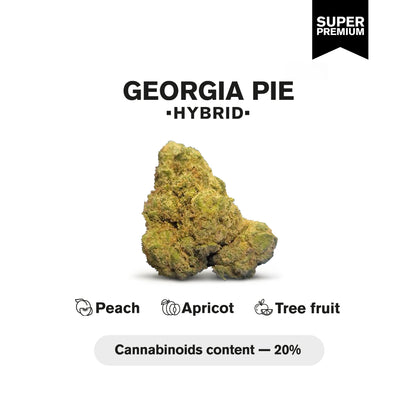 Georgia Pie Flower - Hybrid - THCA