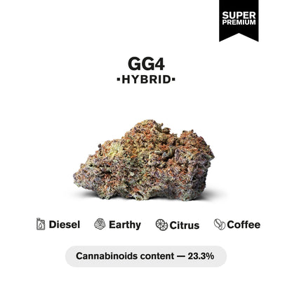 GG4 Flower - Hybrid - THCA