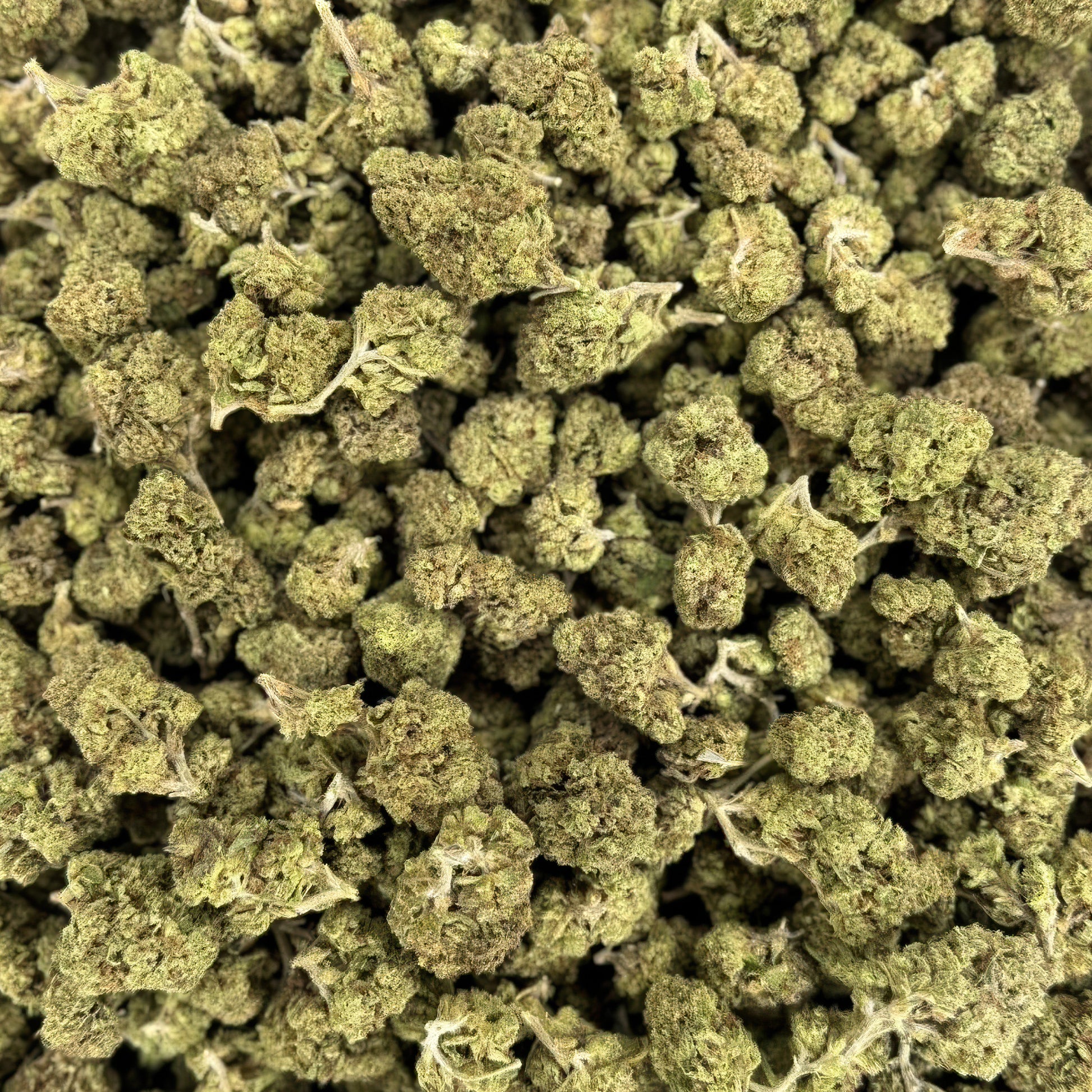 Godfather OG Flower - Hybrid - THCA