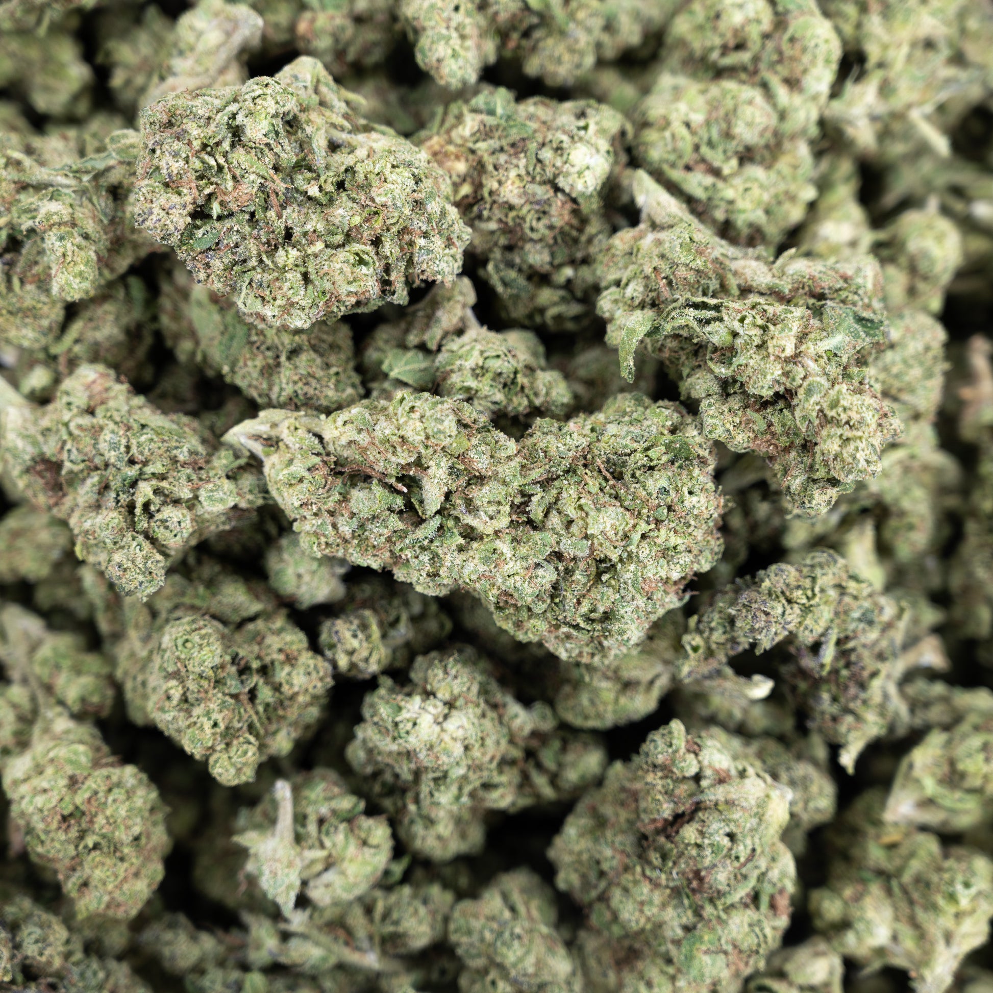 Grapes n Cream Flower - Hybrid - THCA