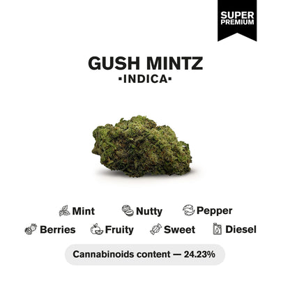 Gush Mintz Flower – Indica – THCA