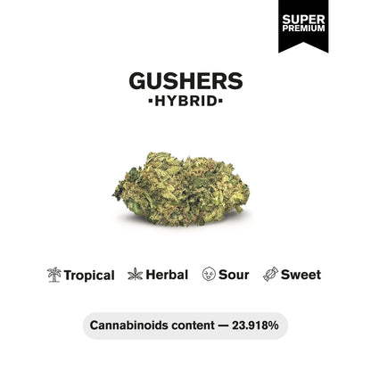 Gushers Flower – Hybrid – THCA