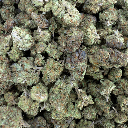 Head Band Flower – Hybrid – THCA