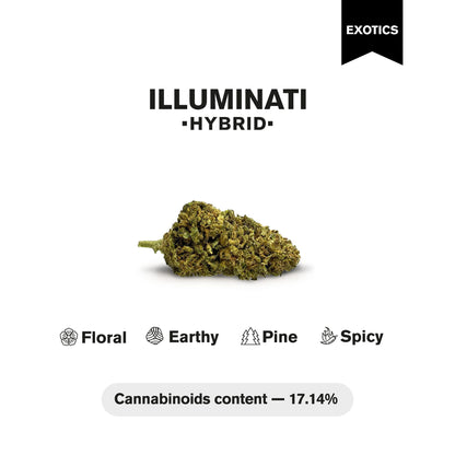 Illuminati Flower – Hybrid – THCA