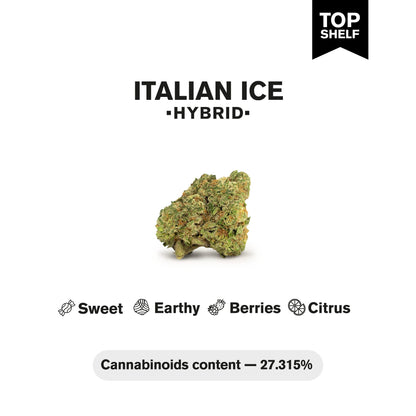 Italian Ice Flower – Hybrid – THCA