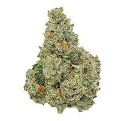 Jet Fuel Gelato Flower - Sativa - THCA