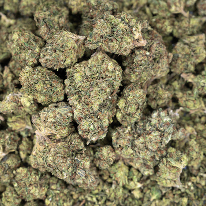 Jungle Juice Flower – Hybrid – THCA