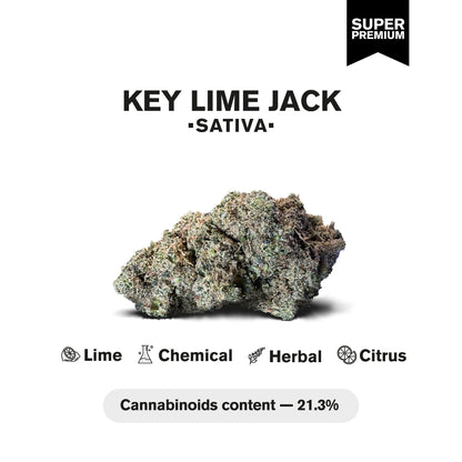 Key Lime Jack Flower - Hybrid - THCA