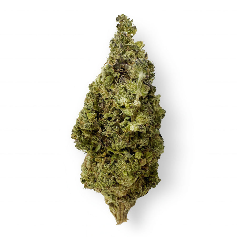 Lemon Bean Flower – Sativa – THCA