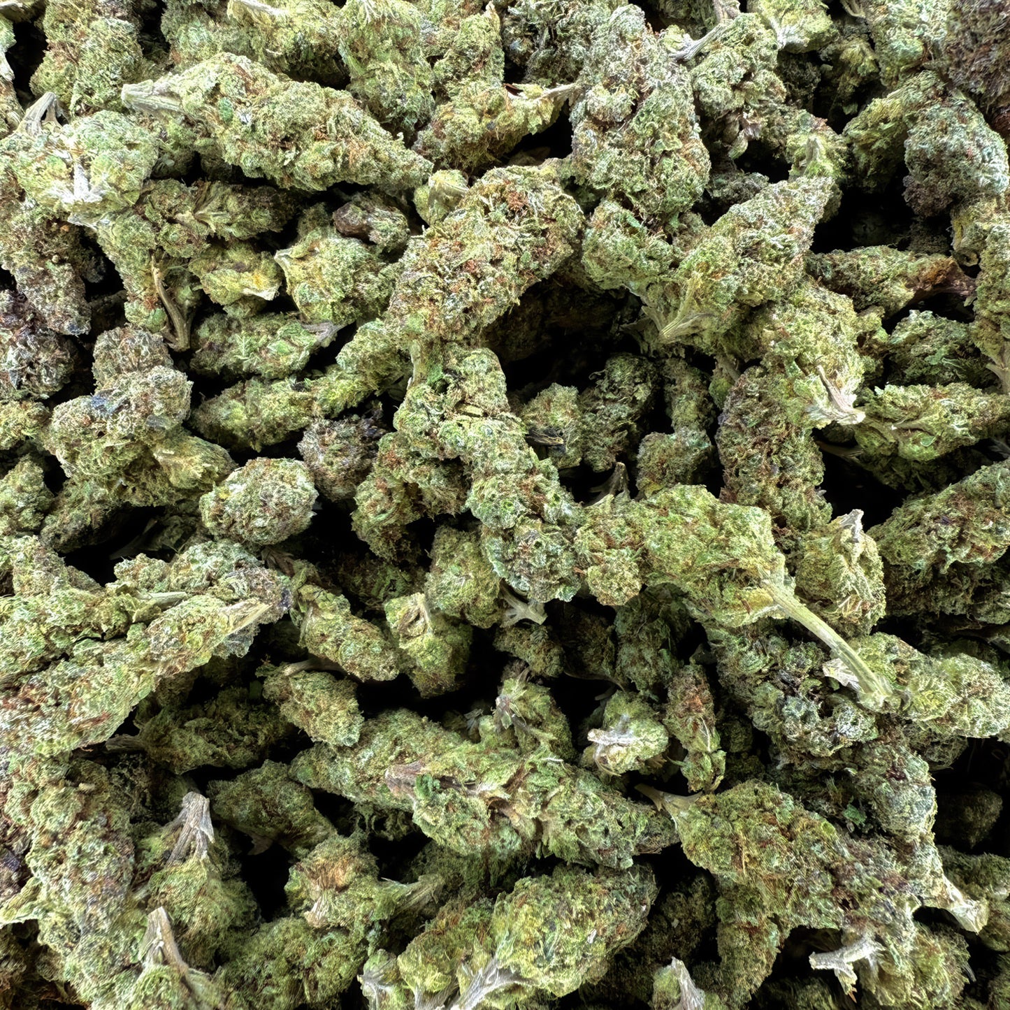 Lemon Bean Flower – Sativa – THCA
