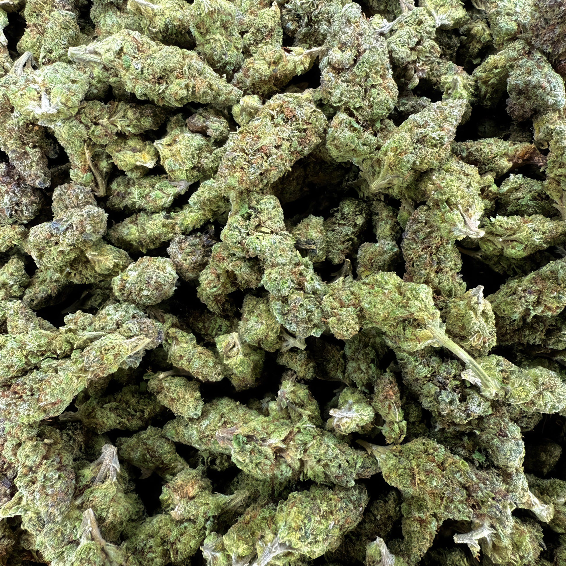 Lemon Bean Flower – Sativa – THCA