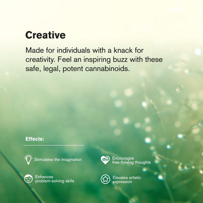 Lemon Bean Flower – Sativa – THCA