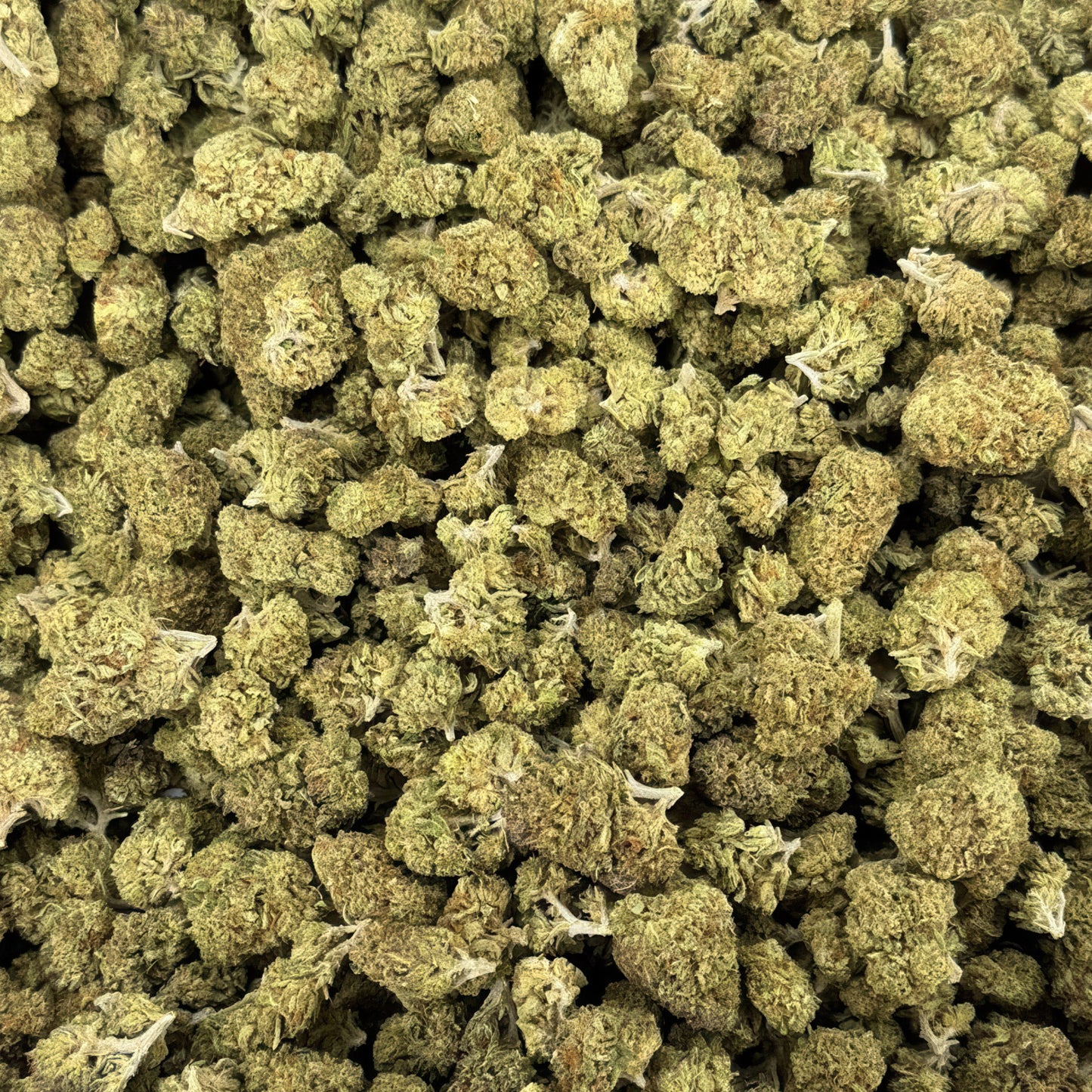 Master Kush Flower - Indica - THCA