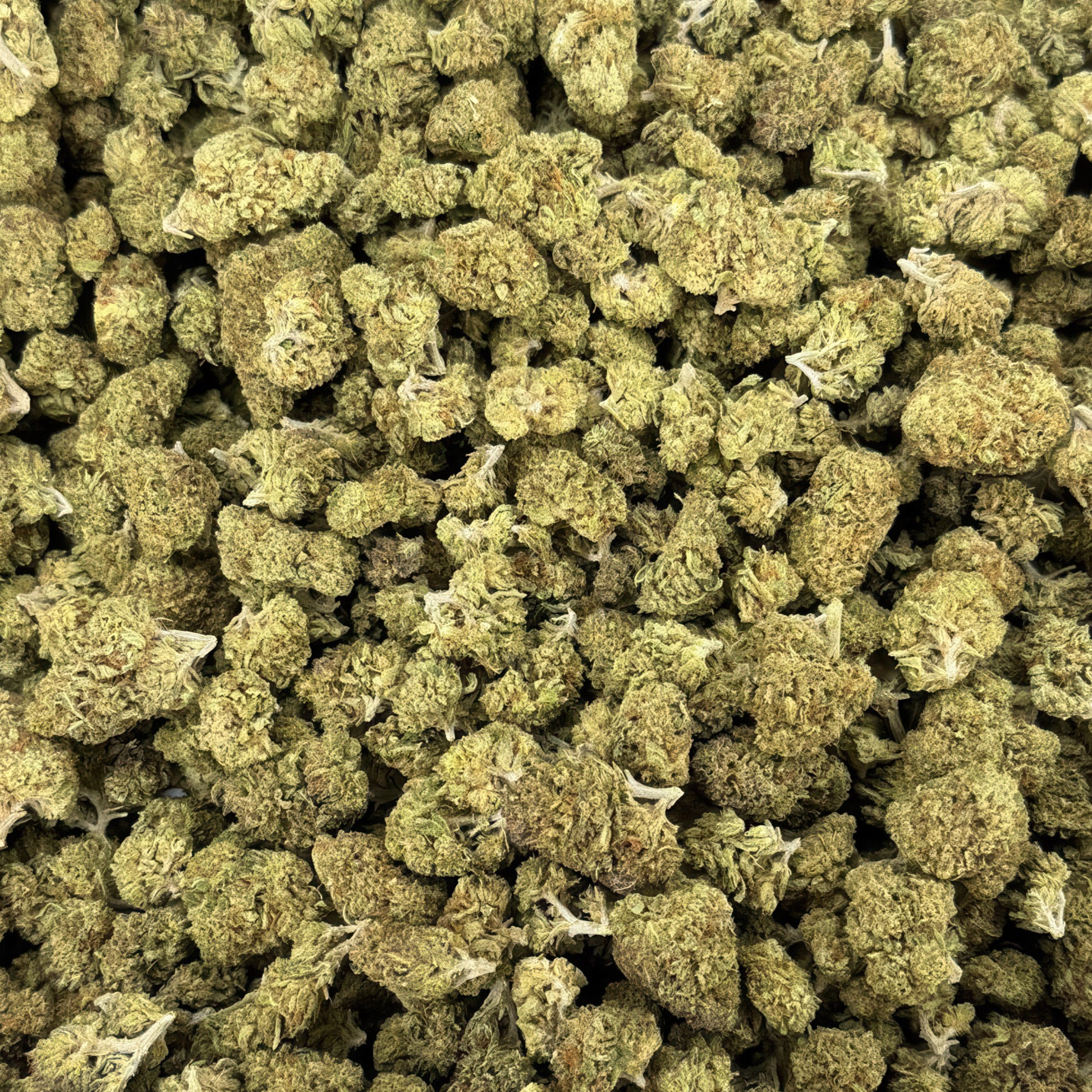 Master Kush Flower - Indica - THCA