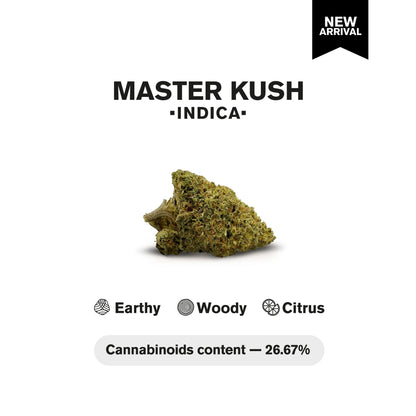 Master Kush Flower - Indica - THCA