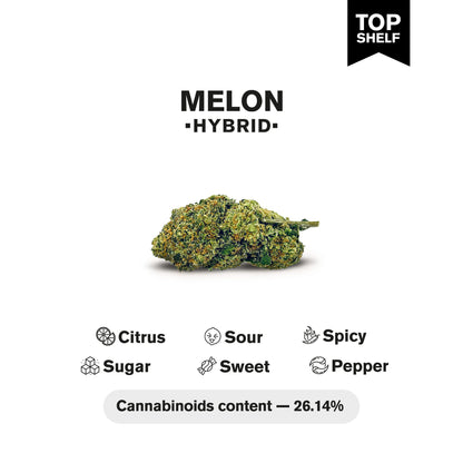 Melon Flower - Hybrid - THCA