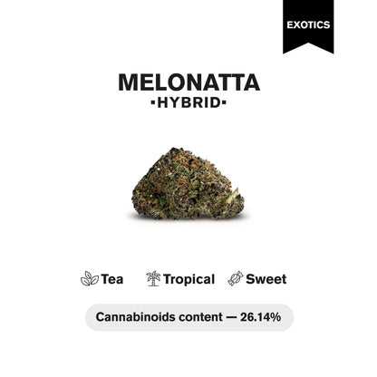 Melonatta Flower - Hybrid - THCA