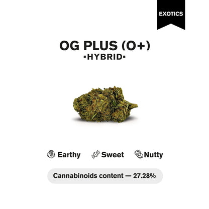 OG Plus Flower - Hybrid - THCA