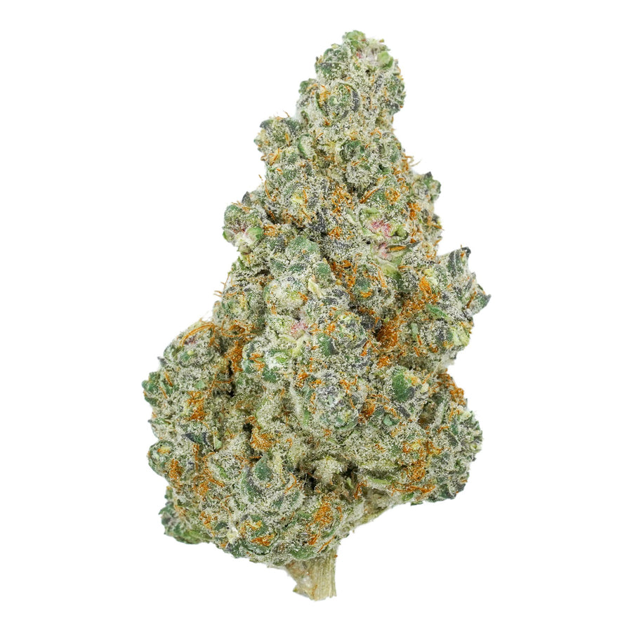 Orange Push Pop Flower - Hybrid - THCA