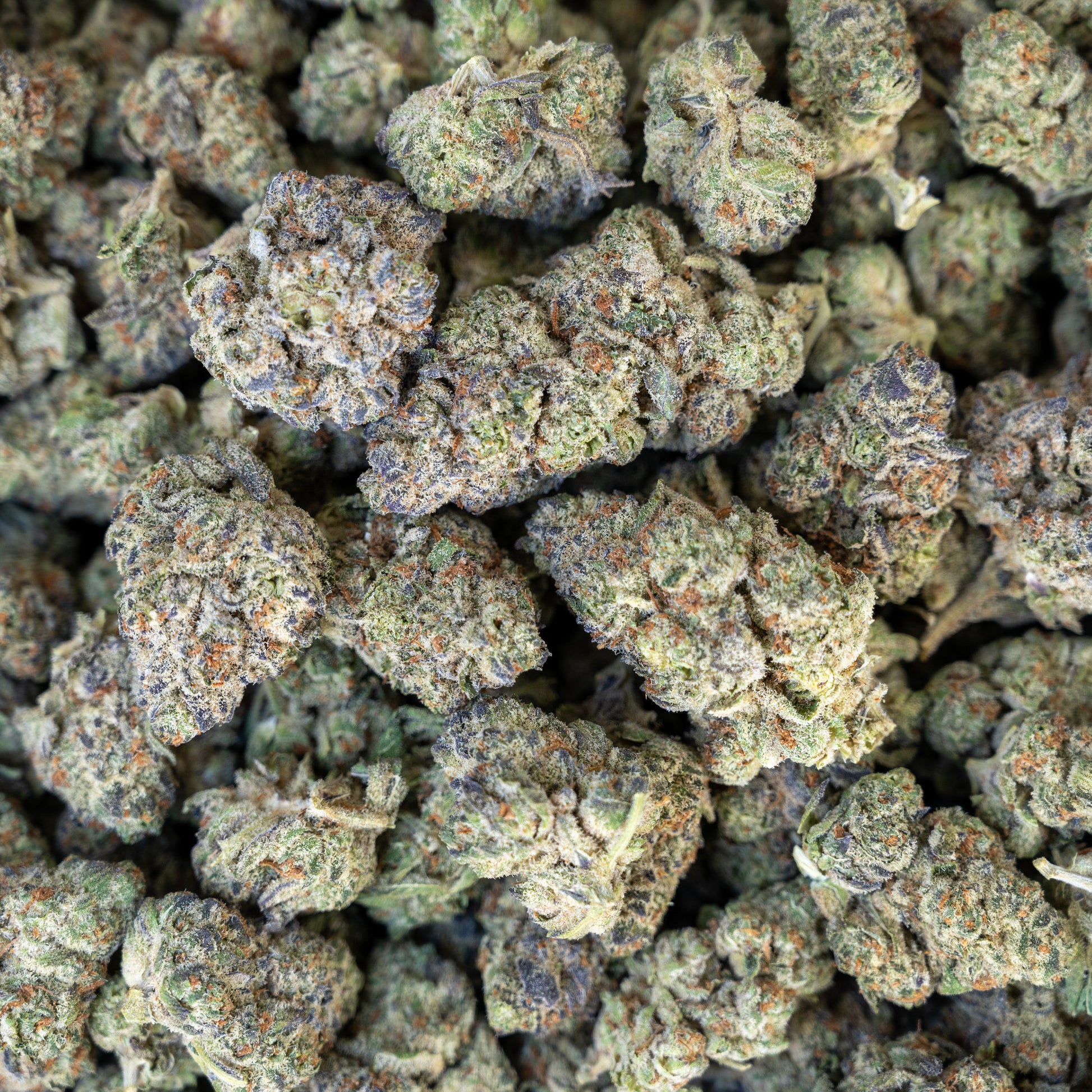 Oreoz Flower - Hybrid - THCA