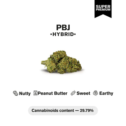 PBJ Flower – Hybrid – THCA