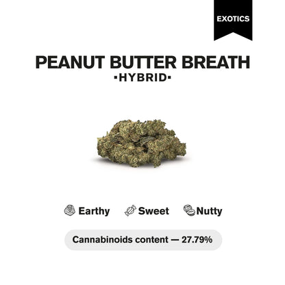 Peanut Butter Breath Flower - Hybrid - THCA
