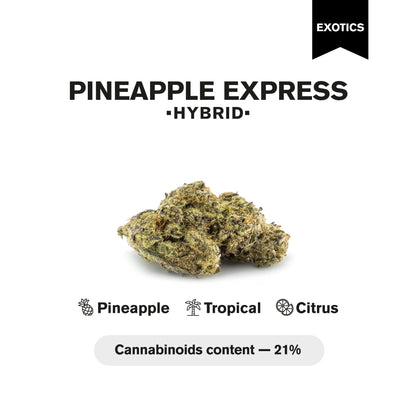 Pineapple Express Flower - Hybrid - THCA