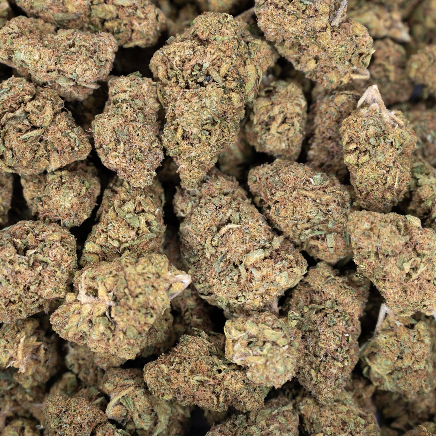 Pink Rozay Flower - Indica - THCA