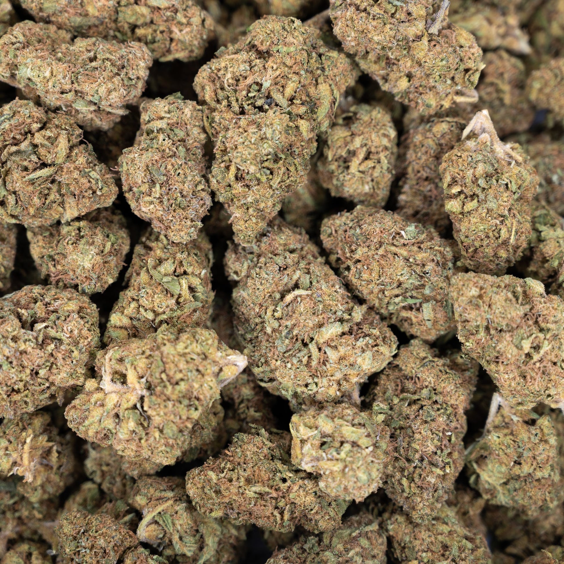 Pink Rozay Flower - Indica - THCA