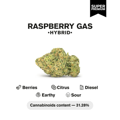 Raspberry Gas Flower - Hybrid - THCA