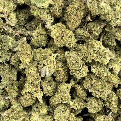 Red Congolese Flower – Sativa – THCA