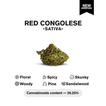 Red Congolese Flower – Sativa – THCA