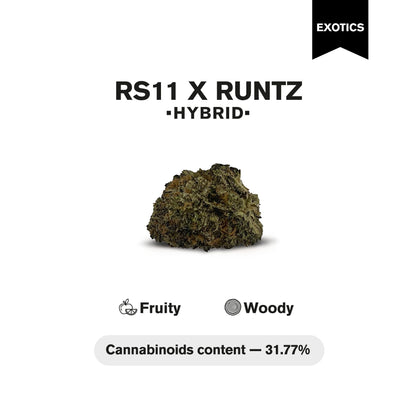 RS11 x Runtz Flower – Hybrid – THCA