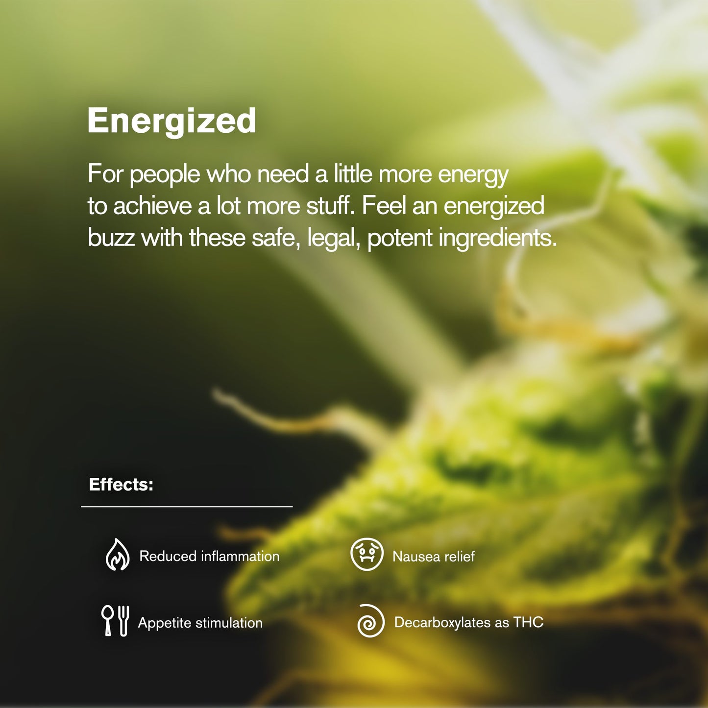 Sativa Blend Ground Flower - Sativa - THCA
