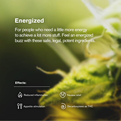 Sativa Blend Ground Flower - Sativa - THCA