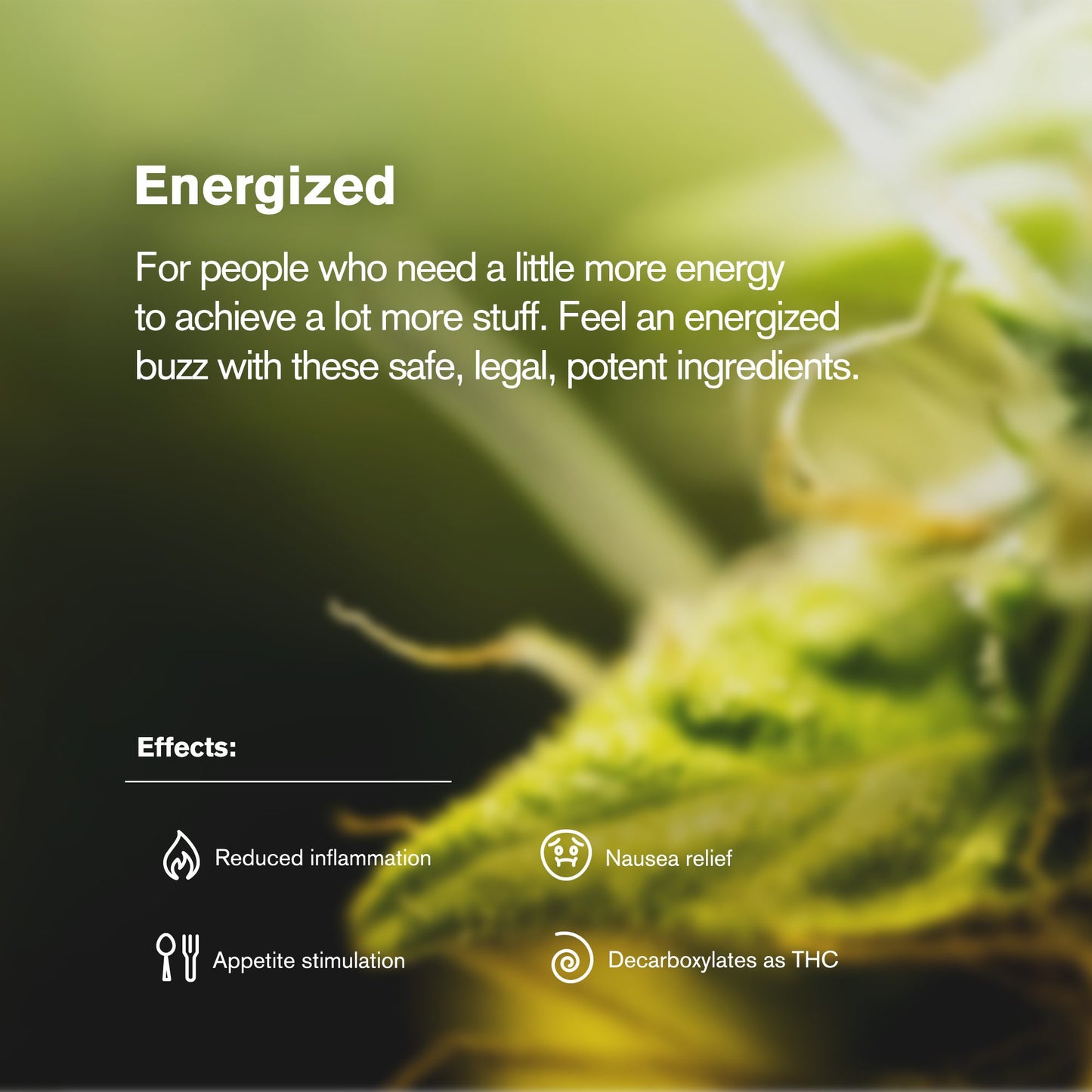 Sativa Blend Trim Flower - Sativa - THCA