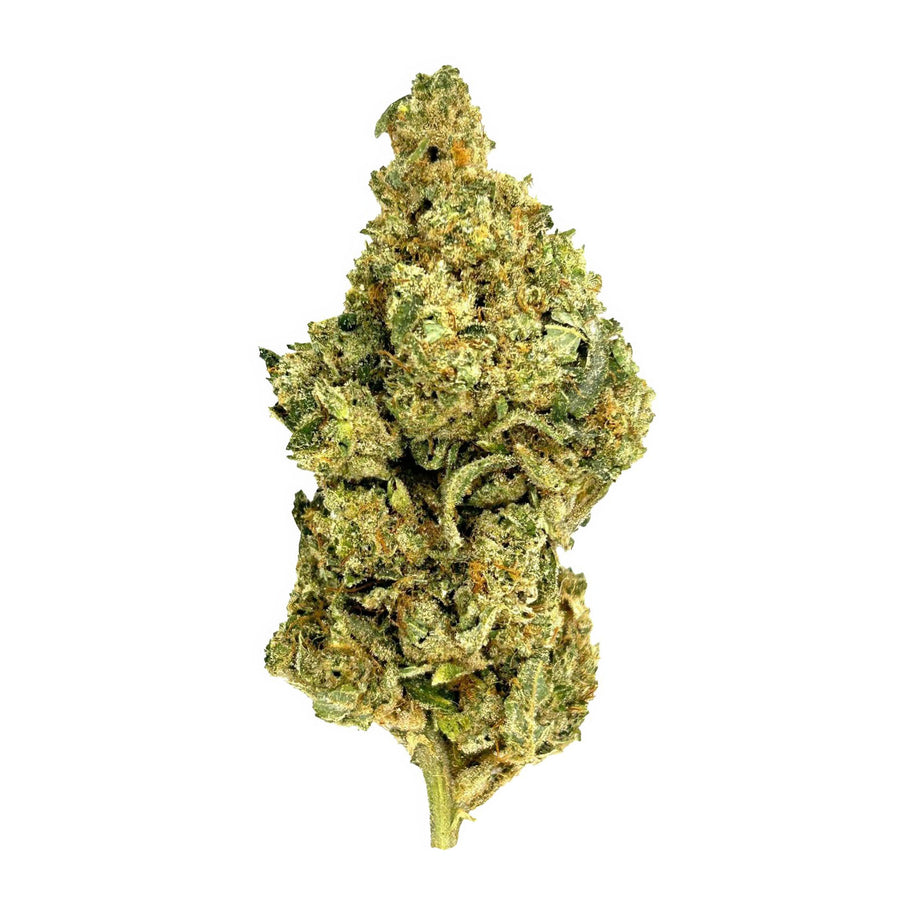 Sherbert Flower - Hybrid - THCA