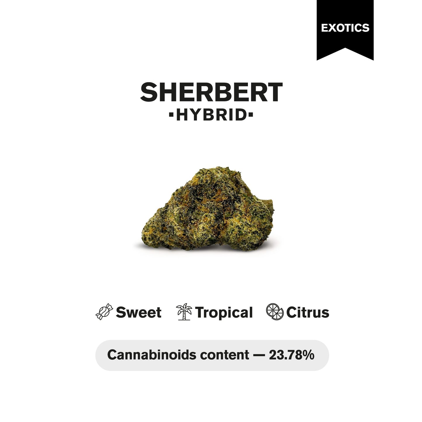 Sherbert Flower - Hybrid - THCA