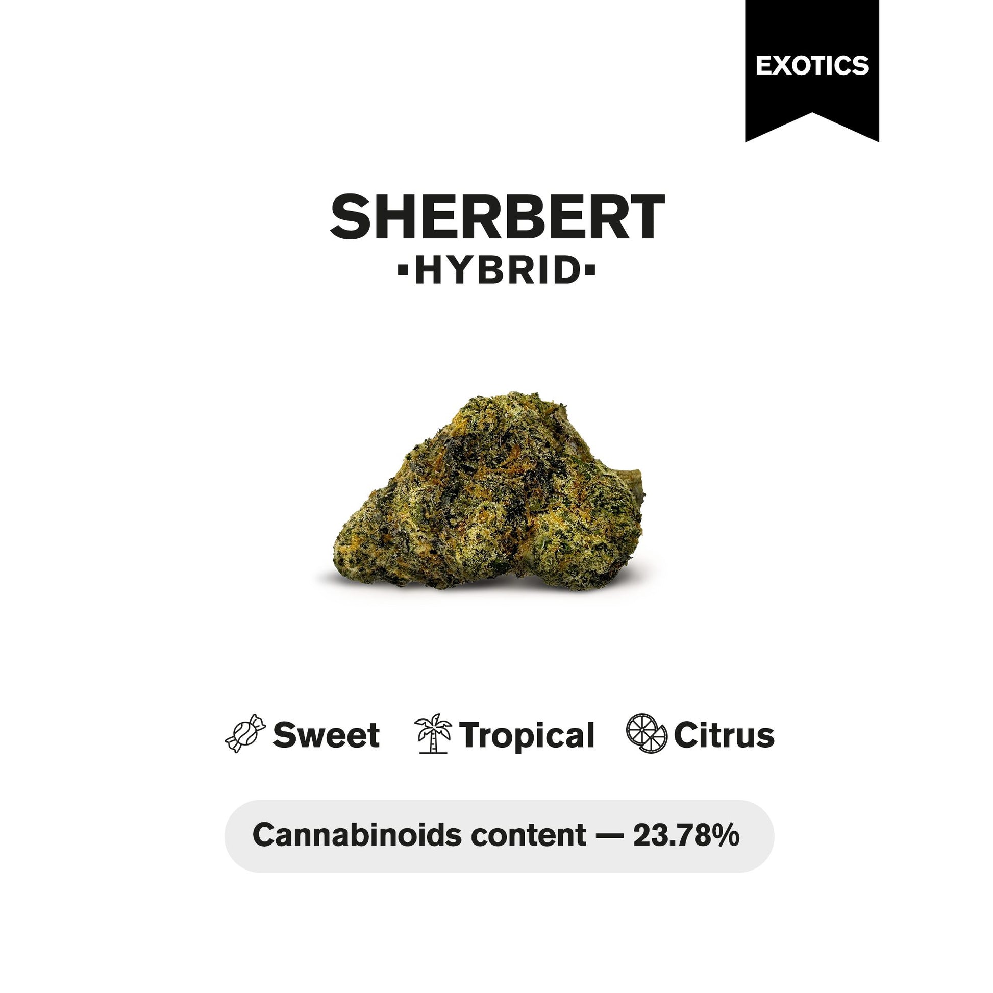 Sherbert Flower - Hybrid - THCA