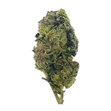 Silver Haze Flower - Sativa - THCA