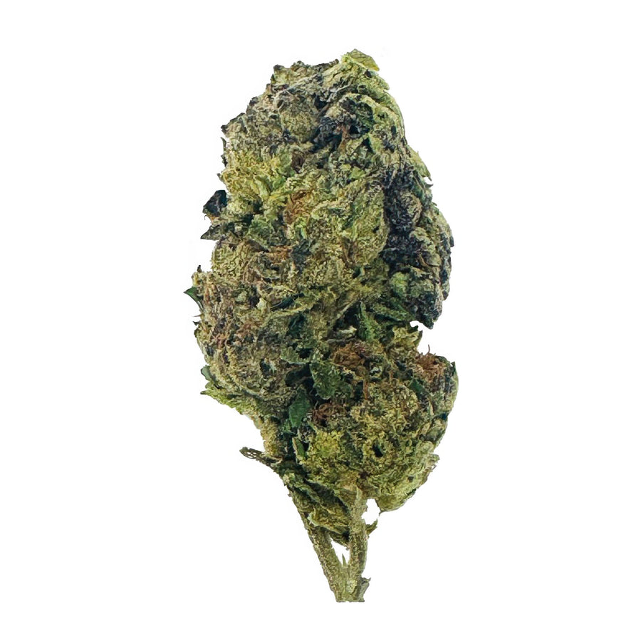 Silver Haze Flower - Sativa - THCA