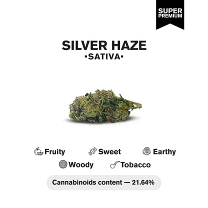 Silver Haze Flower - Sativa - THCA