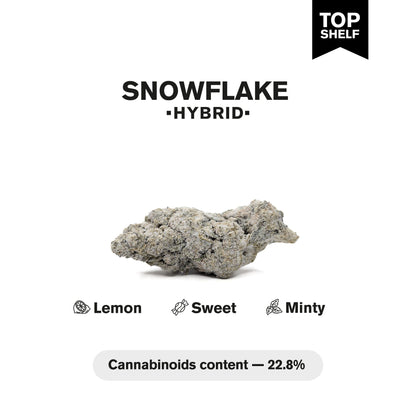 Snowflake Flower - Hybrid - THCA