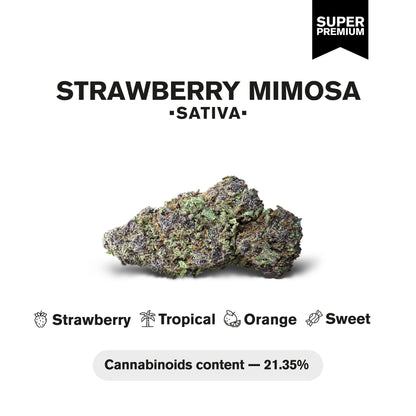 Strawberry Mimosa Flower - Sativa - THCA