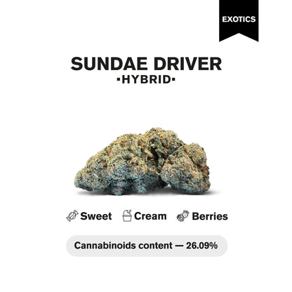 Sundae Driver Flower - Hybrid - THCA