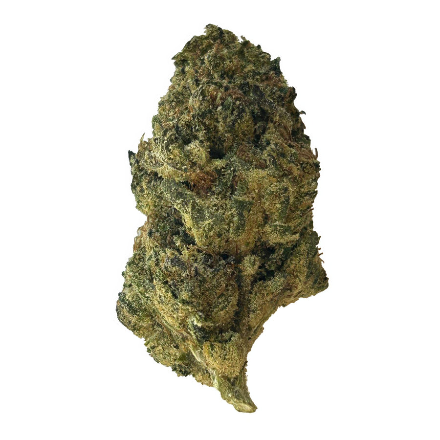 Sunset x Gushers Flower - Hybrid - THCA