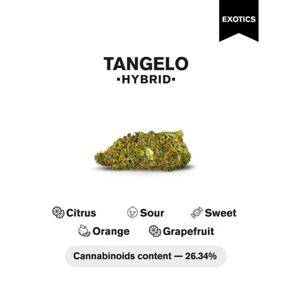 Tangelo Flower - Hybrid - THCA