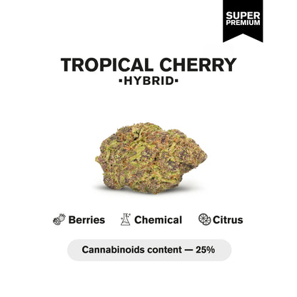 Tropical Cherry Flower - Hybrid - THCA